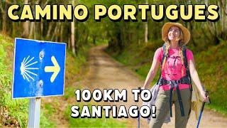 THE FINAL STRETCH! Last 100km of Camino Portuguese (Day 8)