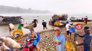 Cơn Mưa Vàng Trên Hồ Nhiều Cá Nhất Đồng Nai | Hồ Trị An