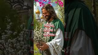 Поздравляю с Вербным Воскресеньем!#вербноевоскресение #православие