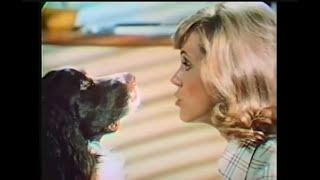 'New' Gravy Train Dog Food Commercial (1974)