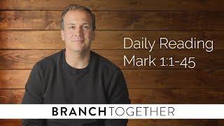 Daily Reading - Mark 1