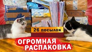 26 ПОСЫЛОК от ПОДПИСЧИКОВ! ЧТО в КОРОБКАХ? **ОГРОМНАЯ РАСПАКОВКА**