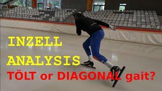 Inzell summer 2023 Trainingcamp, Patrick's analysis