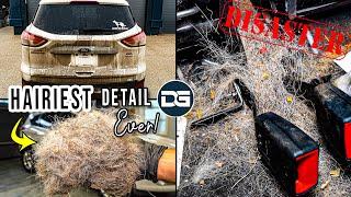 Deep Cleaning The HAIRIEST DISASTER Vehicle I've Ever Seen! | The Detail Geek
