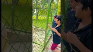 Hadi Azlan Feeding the peacock#shortsyoutube #shorts #viralvideoshorts