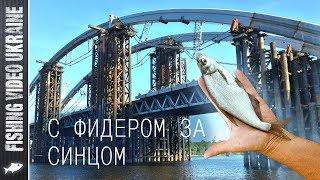 Catching bluefish on the feeder (Podilskyi Most) | FishingVideoUkraine | 1080p