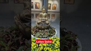 Nam Myoho Renge Kyo | Lotus Sutra | Nichiren Buddhism | Namu Myōhō Renge Kyō | Lotus Sutra