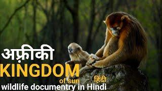 The kingdam of the sun - हिंदी डॉक्यूमेंट्री ! African wildlife documentry in Hindi