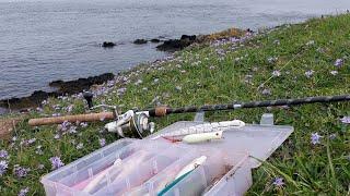 Plugging and Luerfishing Anglsey fishing north Wales. Sea fishing, no bait #seafishing #luerfishing