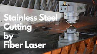 Sheet Metal Laser Cutter Machine 1000W Cutting Stainless Steel Plate Precisely