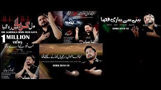 Syed Raza Abbas Zaidi | Nohay Album-2019