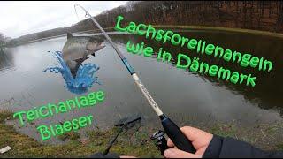 #68 Meine Ersten Besuche bei der Teichanlage-Blaeser in Oberelbert am Raubfischteich / Lachsforellen