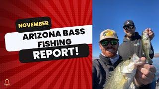 November Arizona Bass Fishing Report 2024