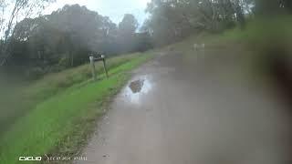 Main Yarra Trail - Banyule Flats to Ivanhoe Boulevard