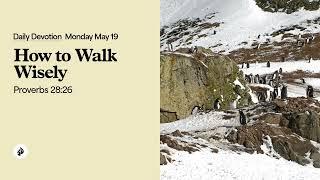 How to Walk Wisely – Daily Devotional