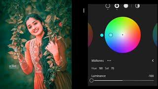 Lightroom mobile night blue tone photoediting//preset download free//