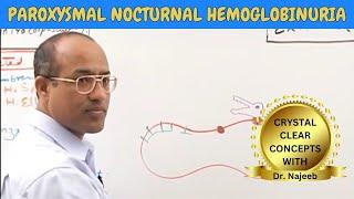 Paroxysmal Nocturnal Hemoglobinuria | Pathophysiology🩺