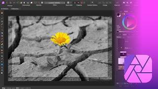 Affinity Photo Tutorial How to Make a Color Splash Effect - Black and White Background