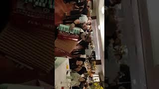 Mr Accordion Man with Rhythm n Groove band
