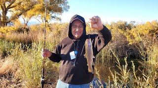 Bishop California Fishing - Trout Fishing