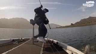 Bass Fishing with Big Bass Dreams