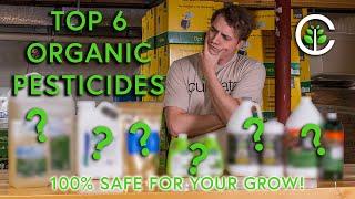 Top 6 Organic Pesticides for Growers