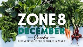 Best Vegetables to Grow in Zone 8 This December