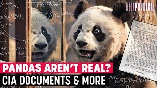 Pandas Aren’t Real