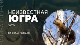 Югра — неизвестные страницы истории России. Часть 1. Вячеслав Кулешов. Родина слонов № 302