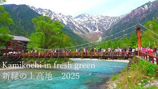 The best season for Kamikochi is when the fresh greenery appears.