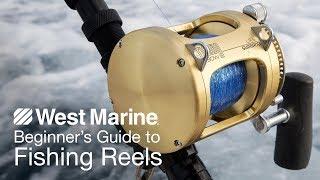 Beginner's Guide to Fishing Reels