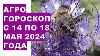 Агрогороскоп с 14 по 18 мая 2024 года Agrohoroscope from May 14 to 18, 2024