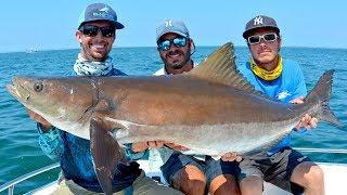 Sight Fishing GIANT Cobia on Bridges and Rays in Virginia