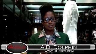 LaChocolateBox Interviews A.D. Dolphin of Dherbs.com for DPTV Networks