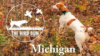 Michigan Grouse/Woodcock Hunting & Truck Camping--Oct, 2023. Plus, Wisconsin Wolf-Encounter Story