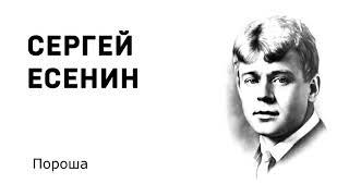 Сергей Есенин Пороша Учить стихи легко Аудио Стихи Слушать Онлайн