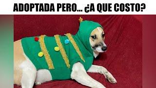 MEMES DE NAVIDAD #6