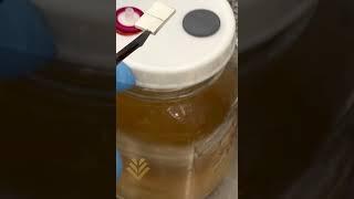 Myterra - Mushroom liquid cultures