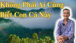 Không Phải Ai Cũng Biết Con Cá Này | Ông Út An Giang