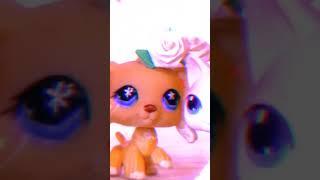 LPS:Edit for @LPSWaffleProductions I hope u enjoy I'm sorry if it's not good x