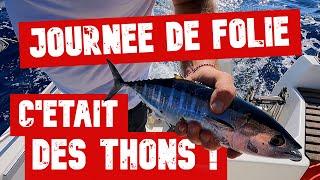 C'était des THONS !  Casses, embrouilles, départs en direct : une journée de folie 