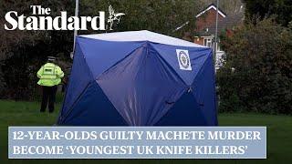 12-year-olds guilty of brutal machete attack become ‘youngest UK knife killers’