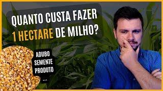 Quanto custa fazer 1 HA de MILHO? Qual é o retorno potencial da produção?