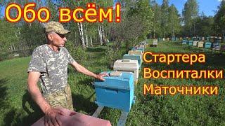 МАТКОВОДСТВО! Стартера, воспиталки, маточники! Ульи ППУ, шестирамочники!