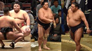 Hoshoryu admits to injury; Kotozakura impresses; amateur aces to debut (Sumo News, Mar 3rd)