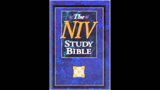 Book of Revelation (NIV Audio Bible Non Dramatized)