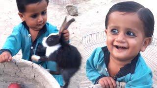 Cute Baby/Funny Baby/funny babies /cutest baby in the world,funny babies laughing/ baby Vs rabbit