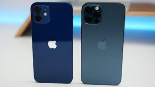 iPhone 12 vs iPhone 12 Pro - Which Should You Choose?