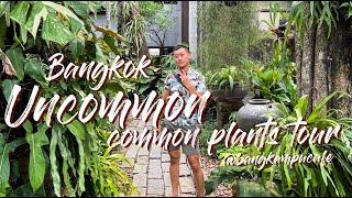 Uncommon "Common Plants" Tour At Beautifully Landscaped Event space @bankampucafe Bangkok Thailand