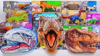 Unboxing Review Jurassic World Toys | Head Dino Mystery Box, Trex Transformer, Megalosaurus | ASMR